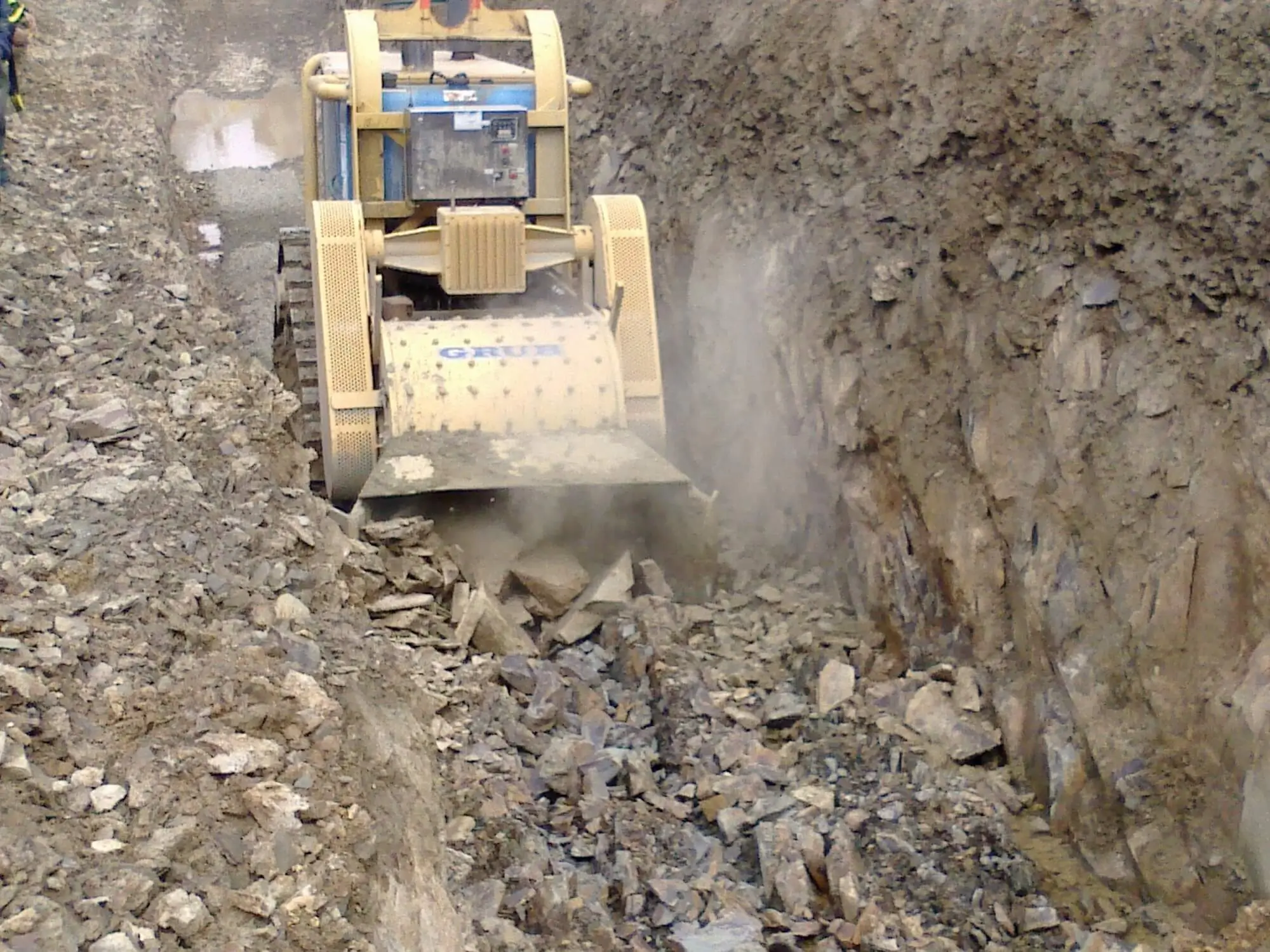 Grub-12-14-18 Laurini